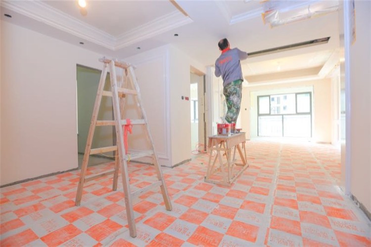 從記者到公司老總-專(zhuān)訪(fǎng)家裝先生總經(jīng)理段寧