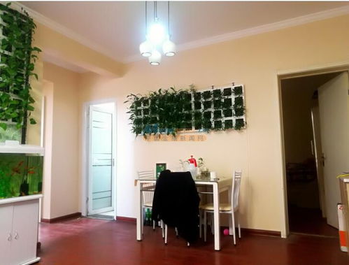 河南智能綠植項(xiàng)目加盟推薦 河南潤(rùn)庭裝飾工程